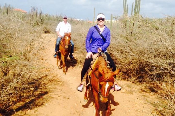 Aruba Horseback Riding Tour For Advanced Riders