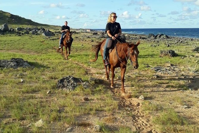 Aruba Horseback Riding Tour to Hidden Lagoon - Tour Highlights