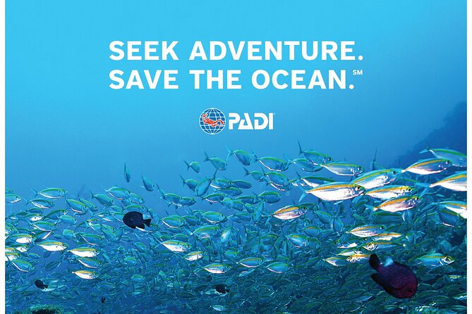 Aruba PADI Scuba Diving Program Non Certified Divers - Pricing and Booking