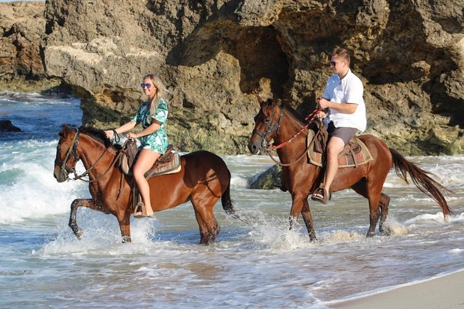 Arubas Northern Coast Horseback Adventure