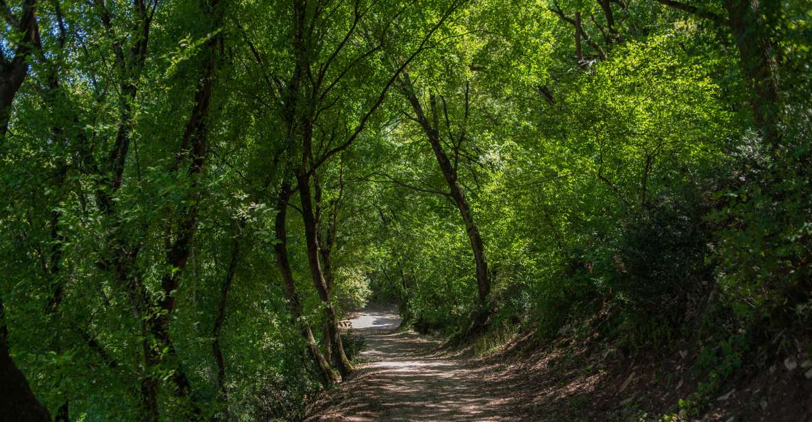 Assisi: Bosco Di San Francesco Entry Ticket - Ticket Pricing Details