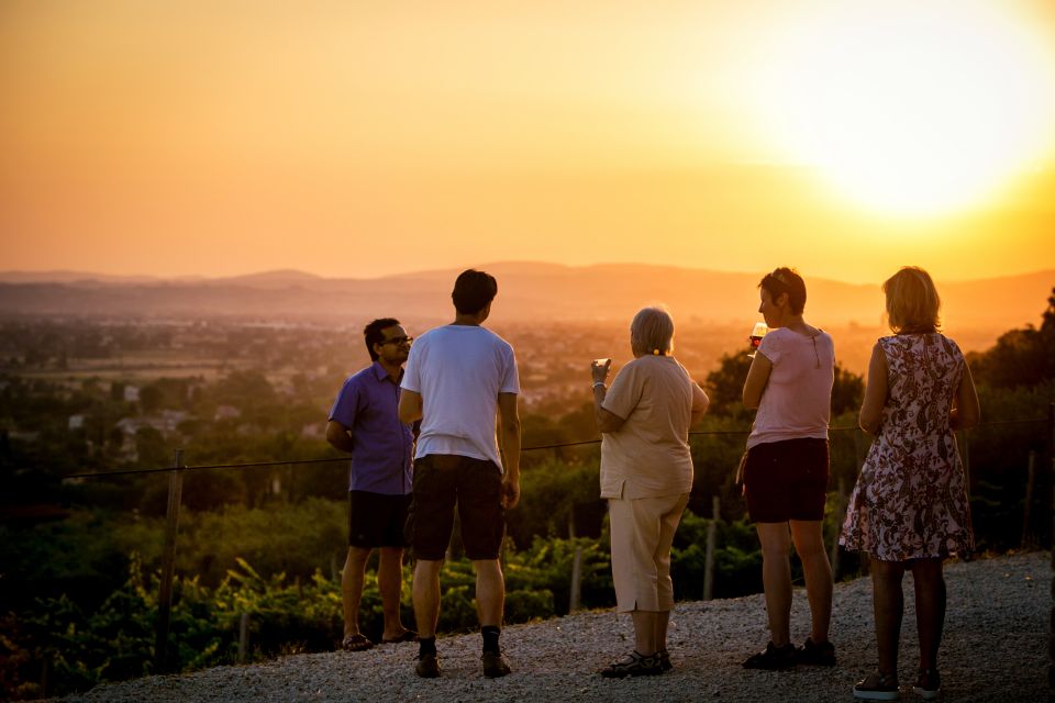 Assisi: Organic Winery Tour With Tastings & Typical Food