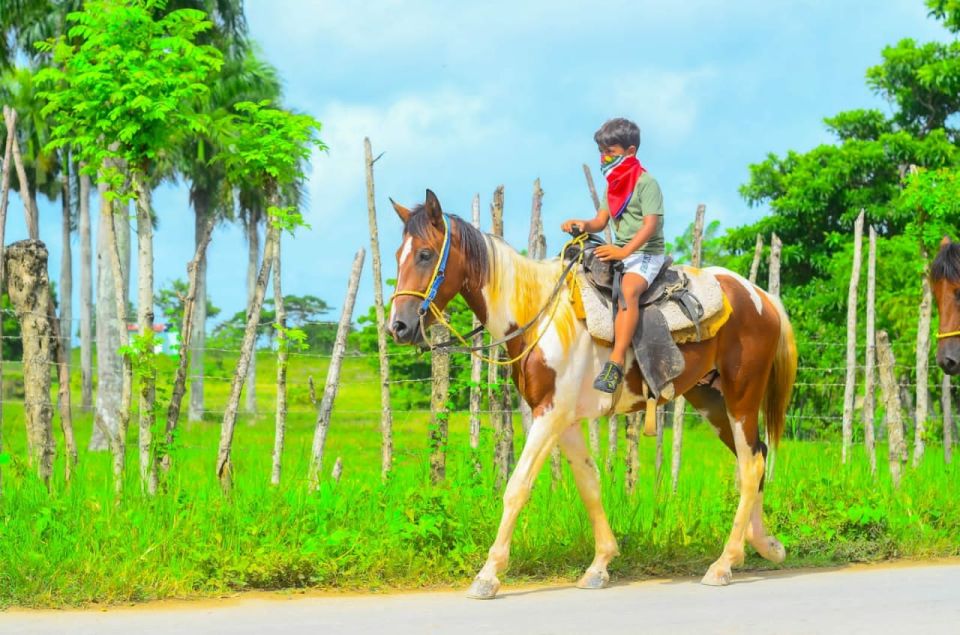 ATV Ride Cenote, Chocolate, Coffee Tasting & Horse Back Ride