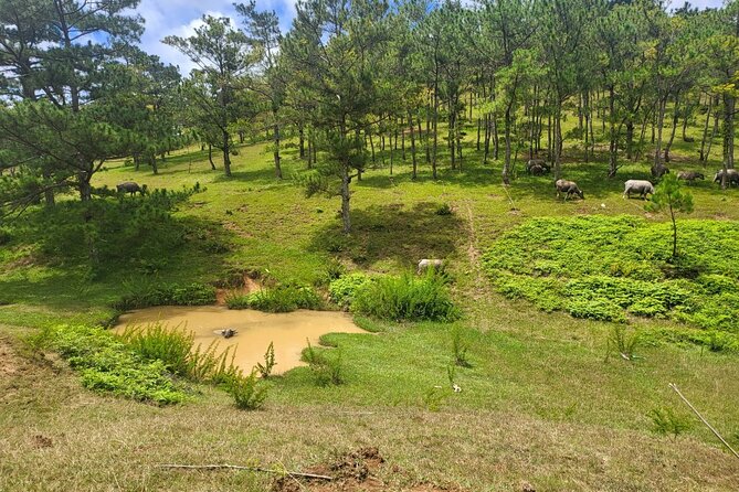 ATV Tour In The Dalat Mountains