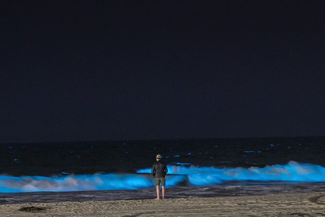 Auckland Bioluminescence Kayak Tour