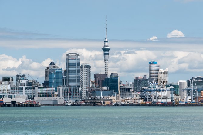 Auckland City & Native Forest Experience – Fully Guided Day Tour