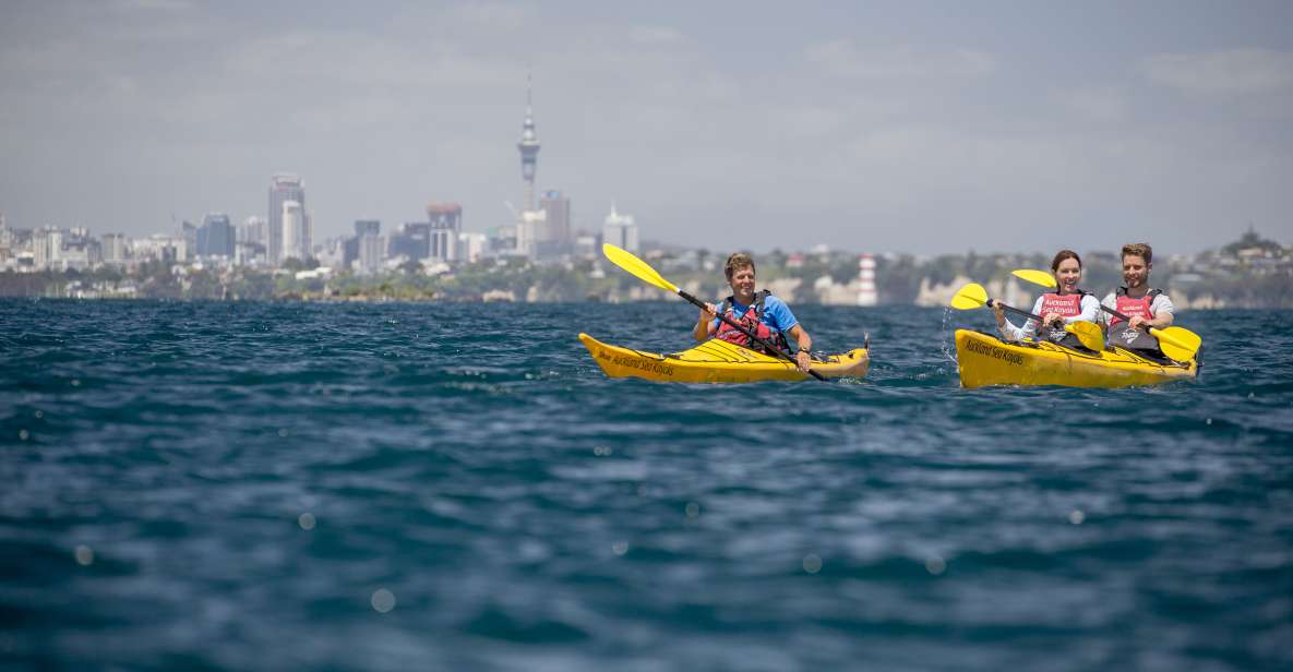 Auckland: Sunset & Night Sea Kayak Tour to Rangitoto Island