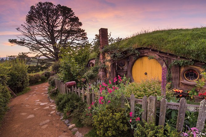 Auckland to Rotorua via Hobbiton Small Group Tour (One Way)