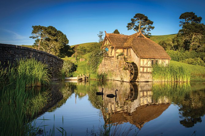 Auckland to Rotorua via Waitomo Caves and Hobbiton Movie Set One-Way Private