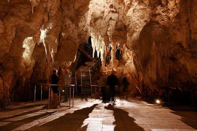 Auckland to Waitomo Caves Private Tour