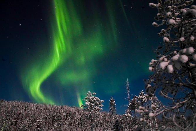 Aurora Borealis Picnic in Rovaniemi