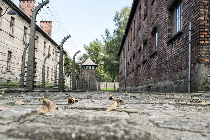 Auschwitz & Birkenau: Live-Guided Tour With Transportation and Hotel Pickup