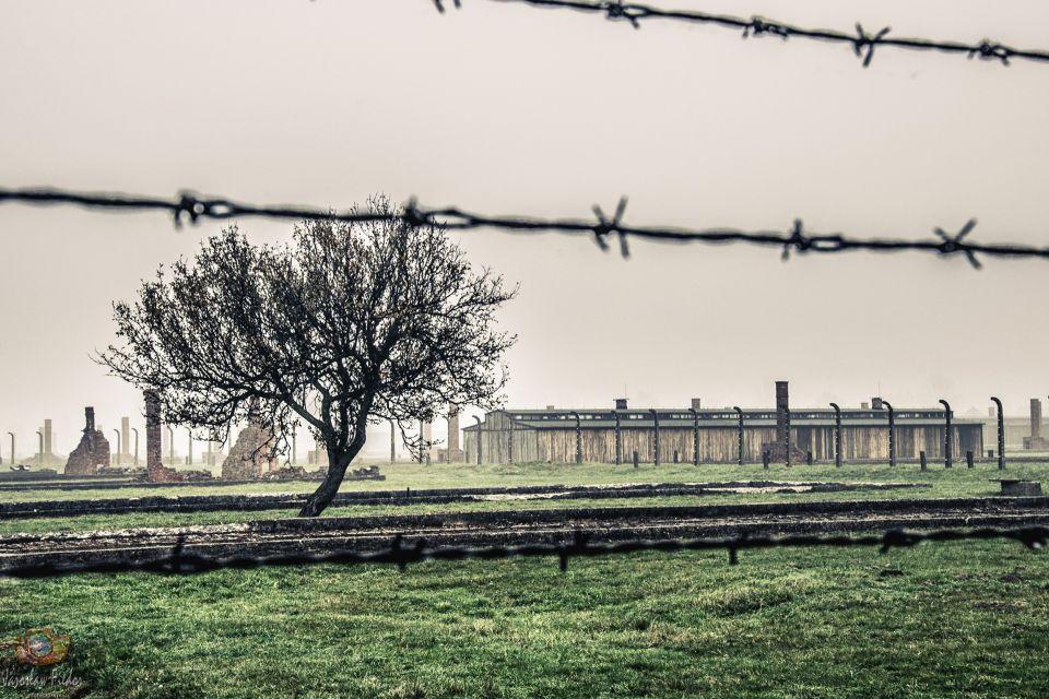 Auschwitz-Birkenau: Skip-the-Line Entry Ticket & Guided Tour