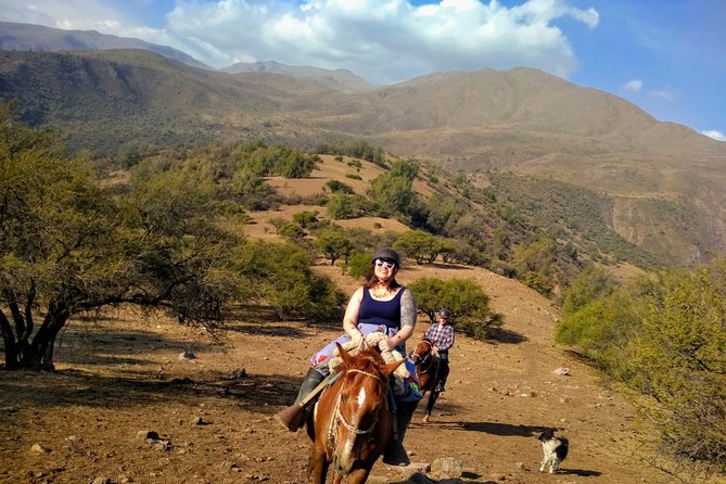 Authentic Horseback Ride With Chilean Cowboys in the Andes Close to Santiago!