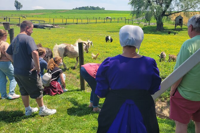 Authentic Tour & Meal With the Amish!