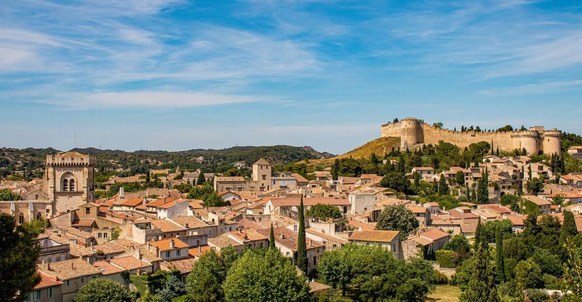 Avignon Private Guided Tour and Wine Tastings From Marseille