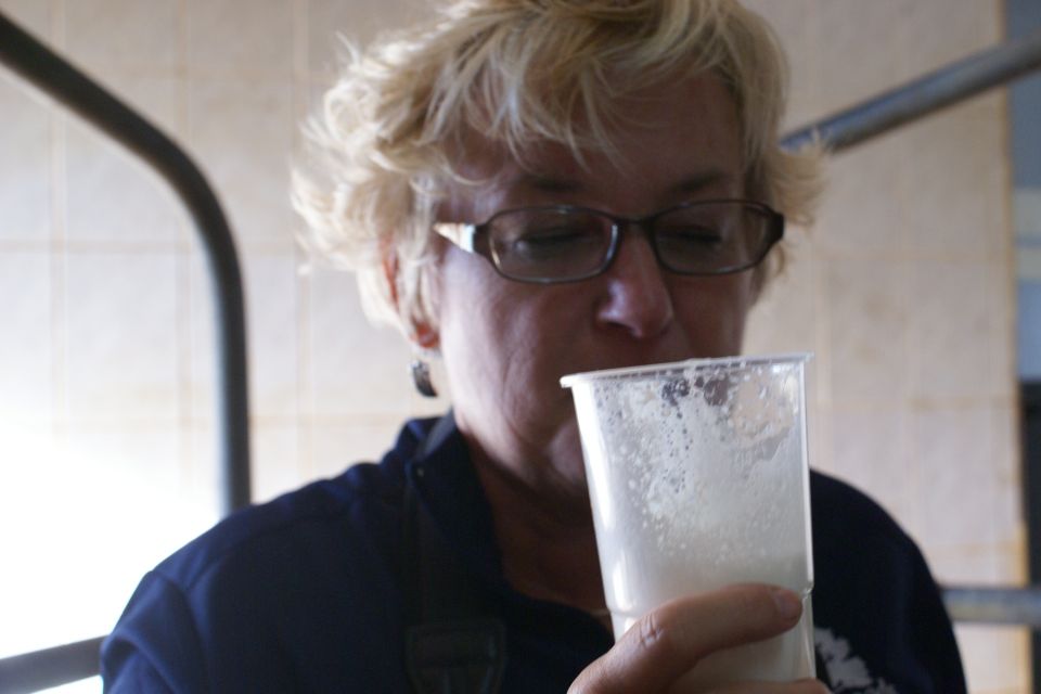 Azores: Day at the Farm With Outdoor Traditional Lunch