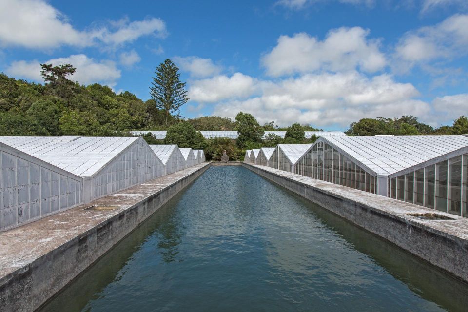 Azores: Private Tour Sete Cidades Green & Blue Lakes