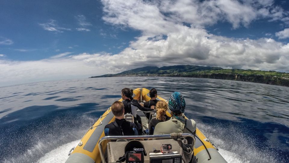 Azores: Swim With Dolphins Atlantic Experience