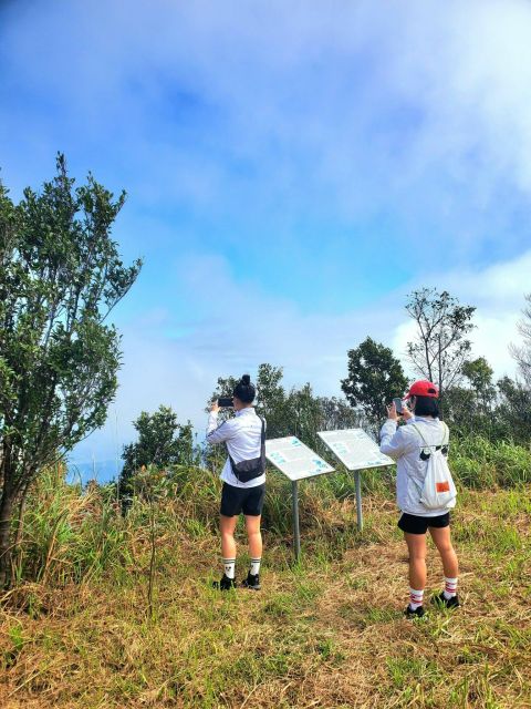 Bach Ma National Park Trekking Tour 1 Day From Hue City - Overview of the Tour