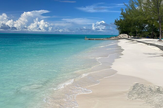 Bahamas Adventure: Pigs, Reef, Turtles, and Beach With Lunch