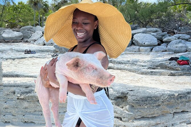 Bahamas Swimming Pigs Experience on Rose Island