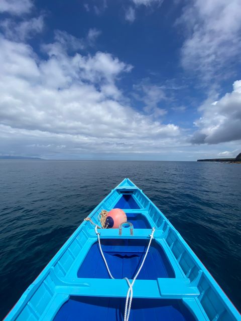 Baleeira Memory - Unforgettable Ride in the Waters of Pico - Overview of Memória Baleeira