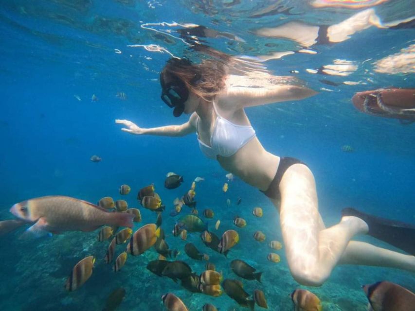 Bali : Best of Trip Nusapenida & Snorkeling Adventure - Package Details