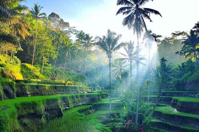 Bali : Best Private Day Tour With Private Driver