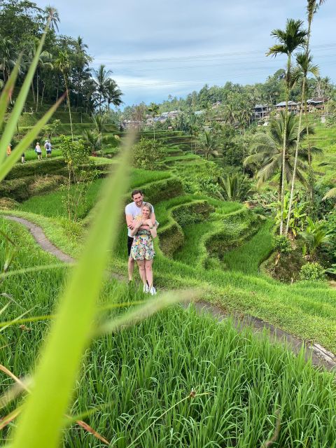 Bali Best Waterfall, Tirta Empul Temple and Rice Terrace - Overview of the Tour