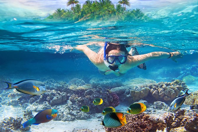 Bali Blue Lagoon Snorkeling Experience - Included in the Package