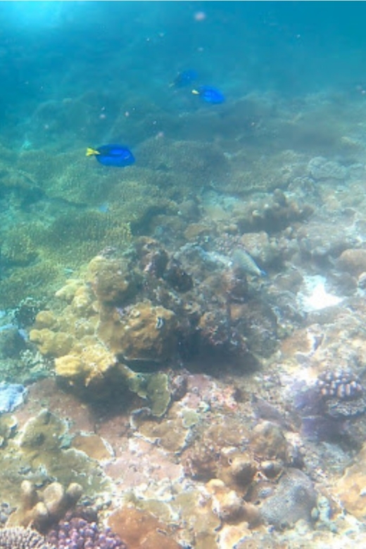 Bali: Candidasa Snorkeling Trips With Transfer