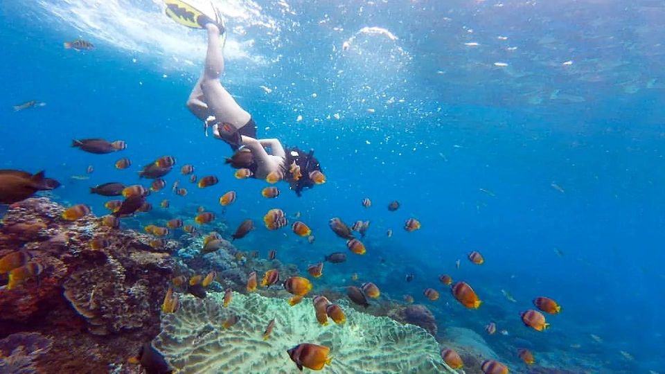 Bali: Discover Beauty of Nusa Penida Snorkeling and Island