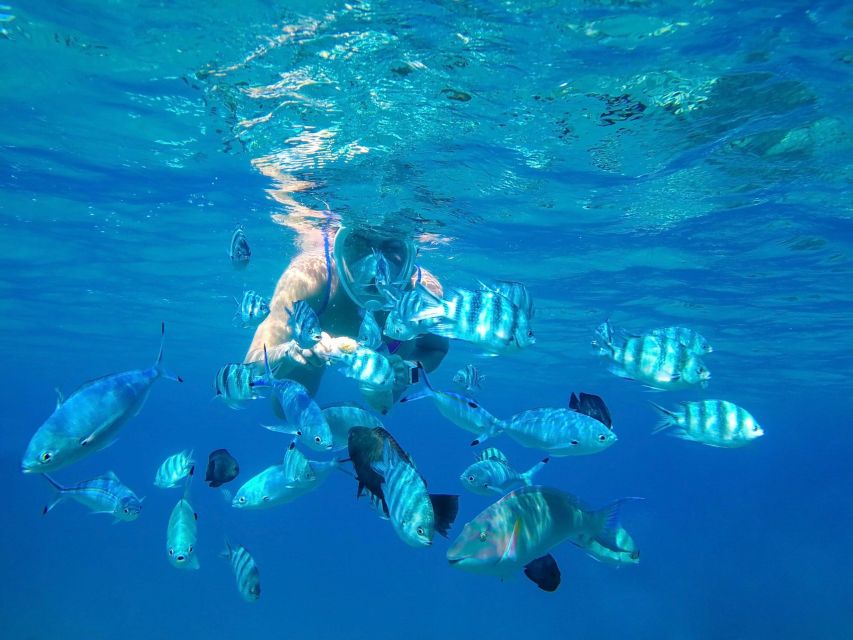 Bali: Dolphin Watching, Snorkeling & Hot Spring Tour