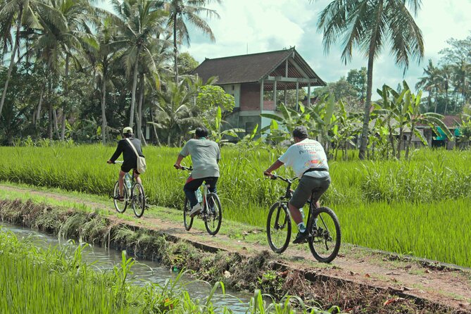 Bali Eco Cycling Tour