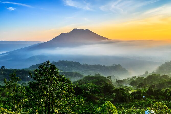 Bali Full-Day Car Charter: Ubud and Kintamani Volcano Tour