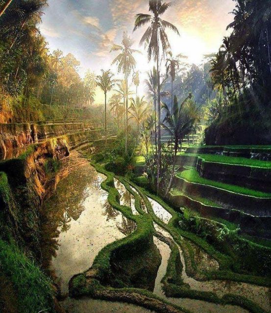 Bali Full Day Optional Tour Packages