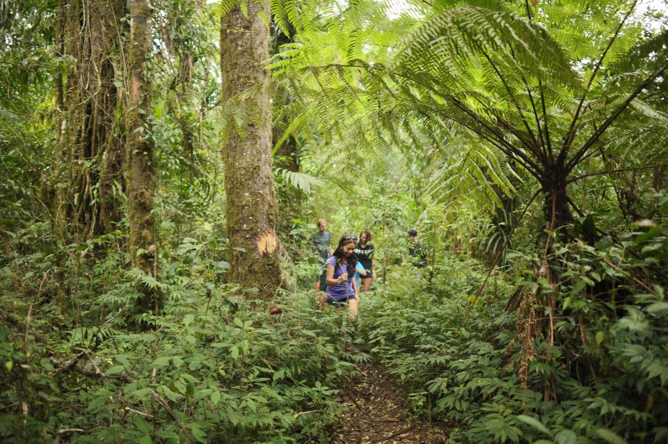 Bali: Half-Day Bayad Eco Hike - Overview of the Eco Hike