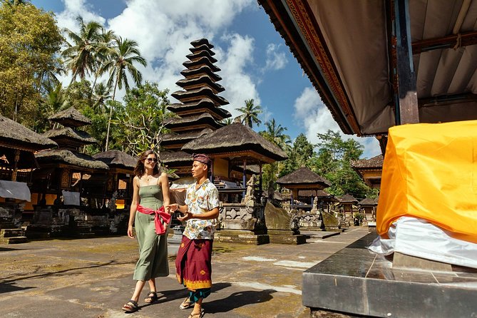 Bali Half-Day PRIVATE TOUR by Car: Highlights & Hidden Gems - Overview of the Tour