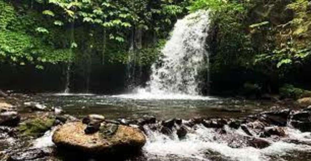 Bali: Hidden Gem Waterfall & Rice Terrace Tour