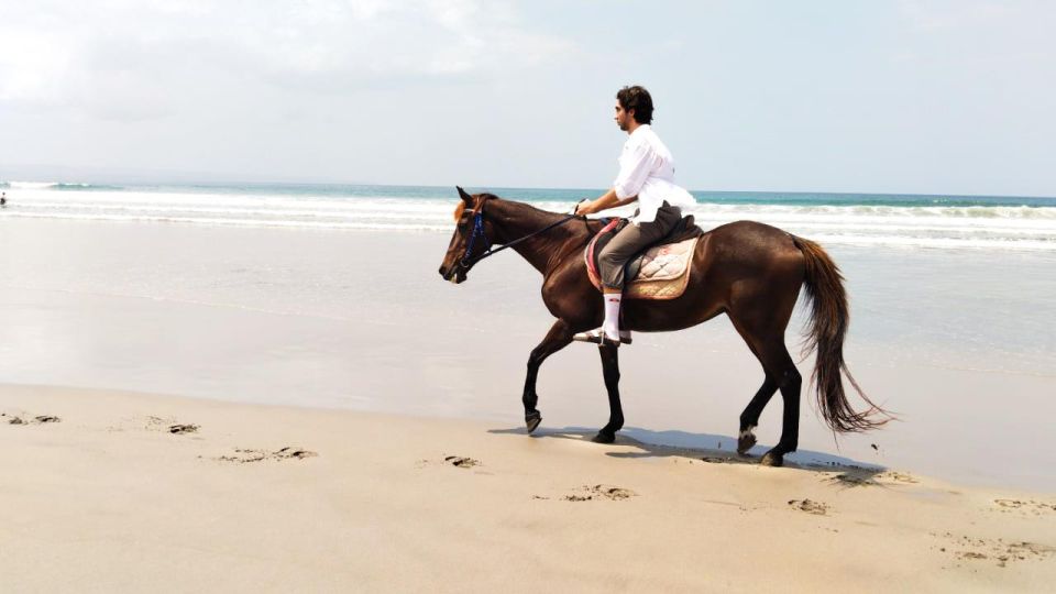 Bali: Horse Riding Tour on Seminyak Beach Include Transport