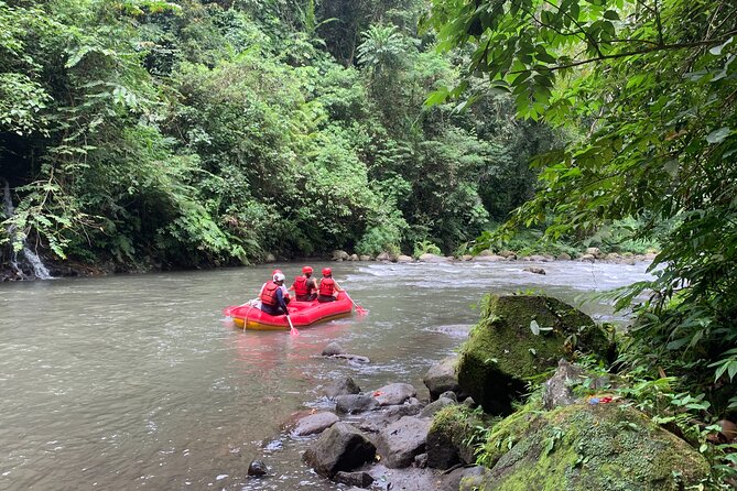 Bali Jungle White Water Rafting Adventure