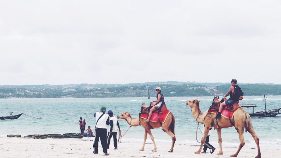 Bali: Kelan Beach Camel Rides Experiences