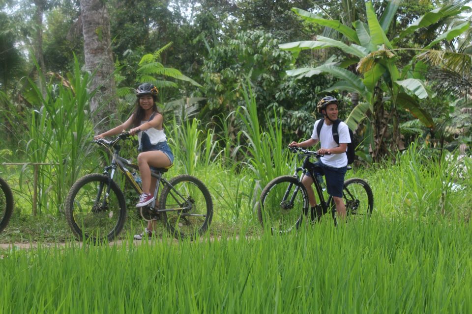 Bali: Kintamani Private Downhill Bike Tour & Rice Fields