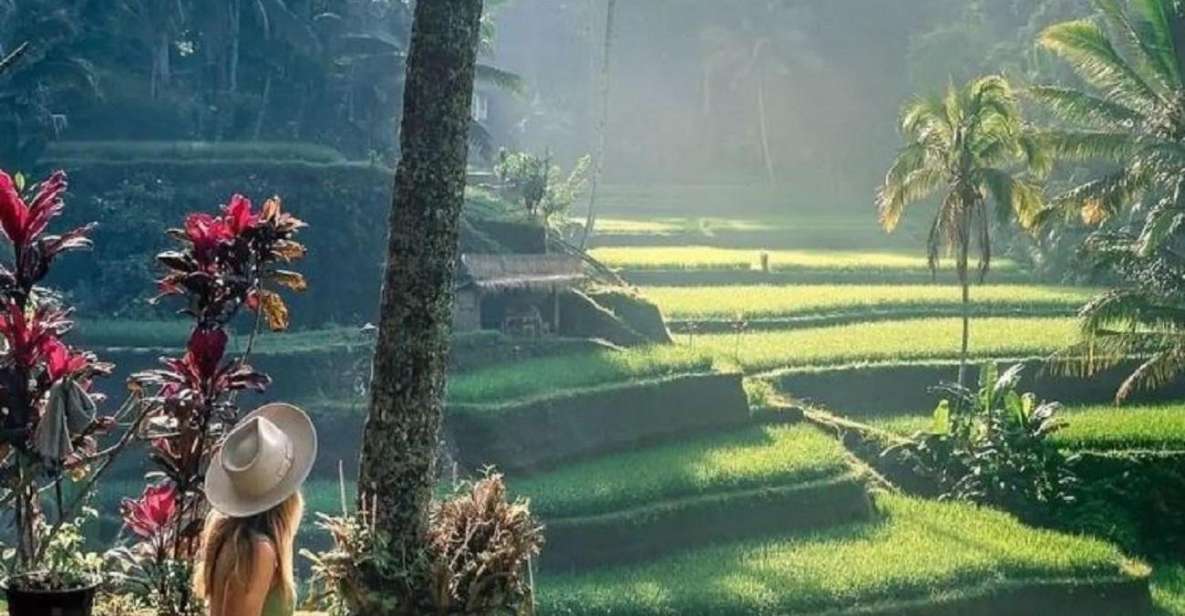 Bali: Private Customized Full-Day Tour