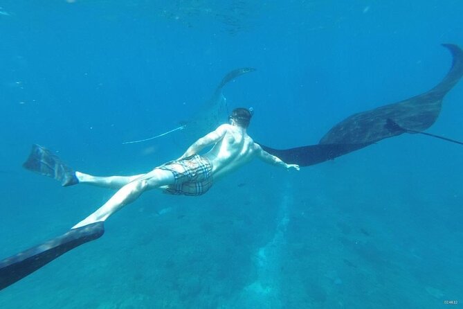 Bali Private Snorkeling (Manta, Sea Cucumber, Crystal) and Nusa Penida Tour