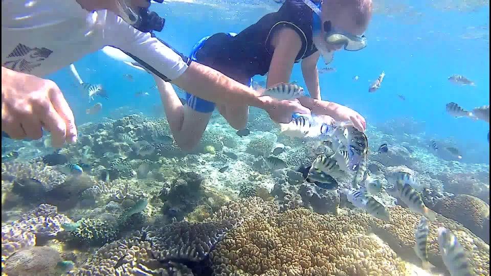 Bali: Private Snorkeling To Blue Lagoon And Tanjung Jepun