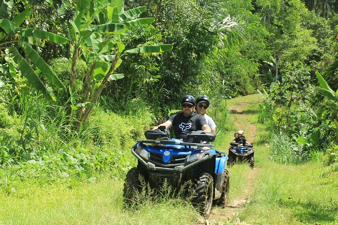 Bali Quad and Buggy Discovery Tour, Including Round-Trip Transfer - Tour Summary