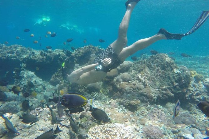 Bali Snorkeling Tour at Blue Lagoon Beach – All-Inclusive