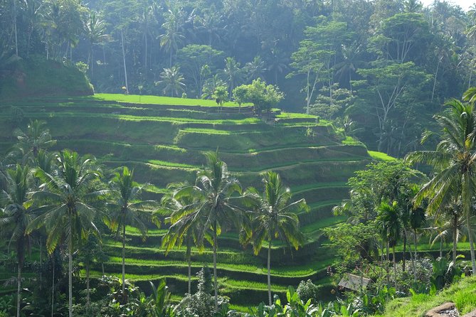 Bali Swing With Tukad Cepung Waterfalls - Highlights of the Bali Swing